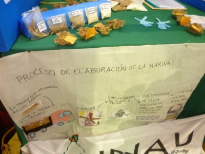 CAPI “Nuevo Mundo” INAU de Nueva Palmira se lució en Feria d ... Imagen 1