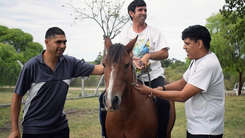 Dest paysandu