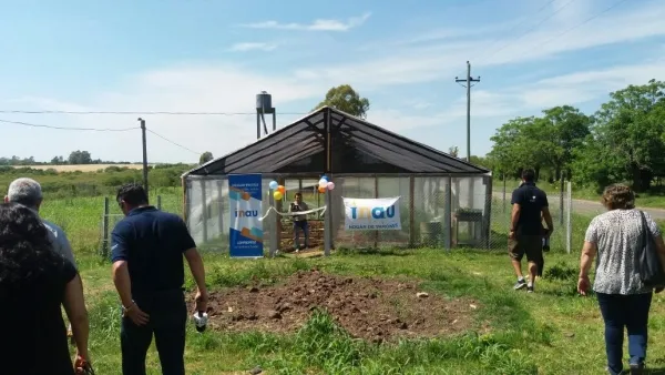 Cx